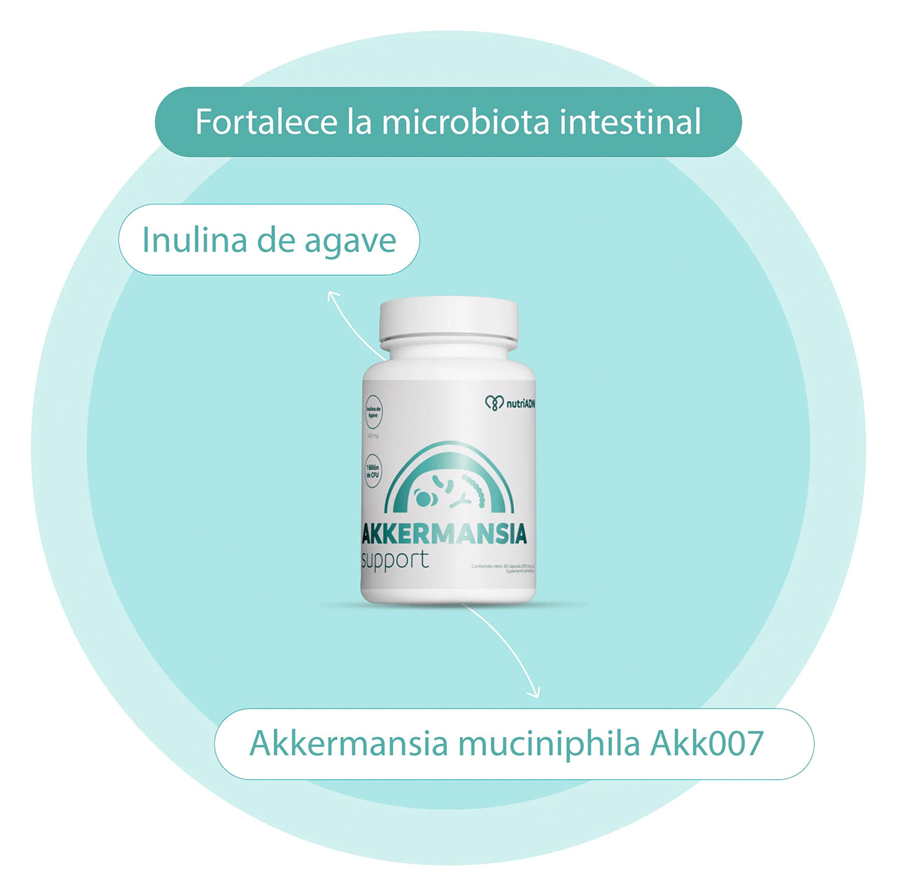 AKKERMANSIA SUPPORT