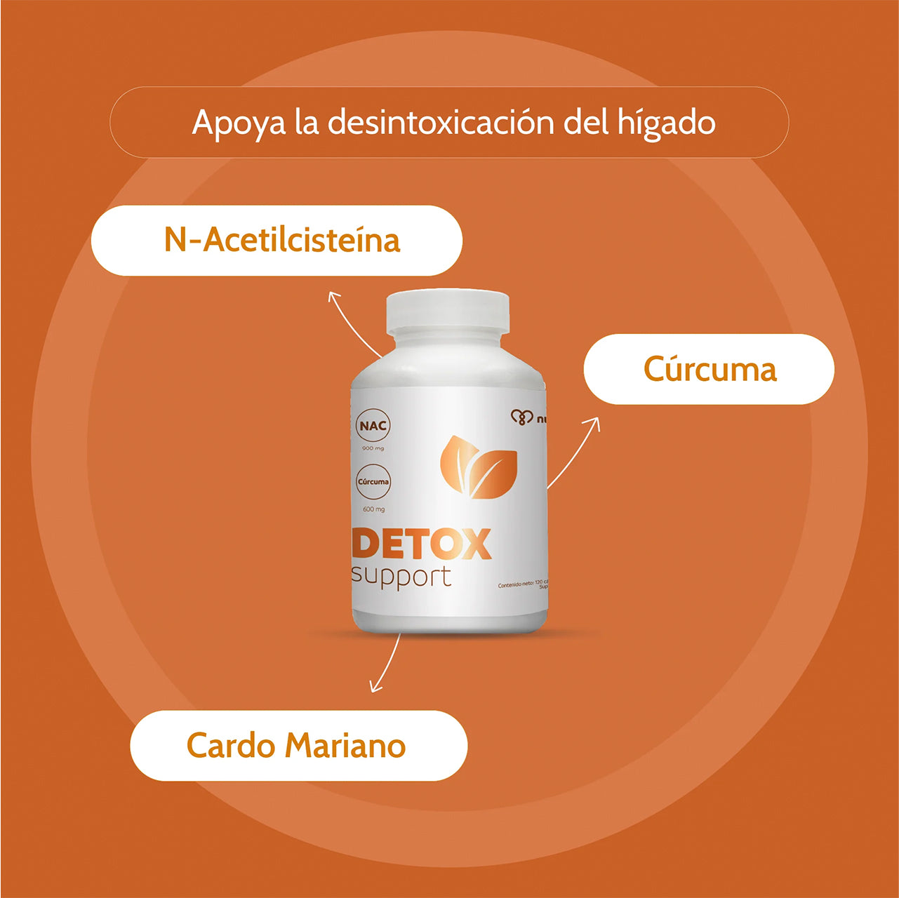DETOX SUPPORT