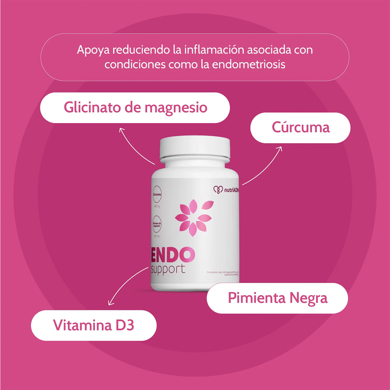 ENDO SUPPORT