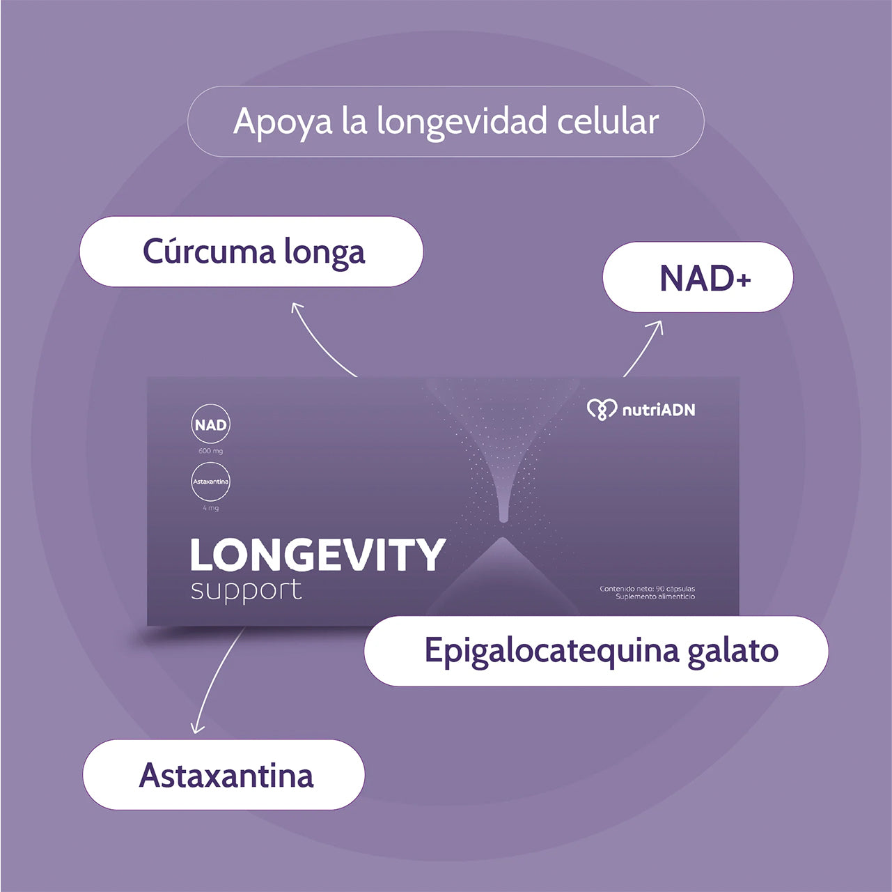 LONGEVITY SUPPORT