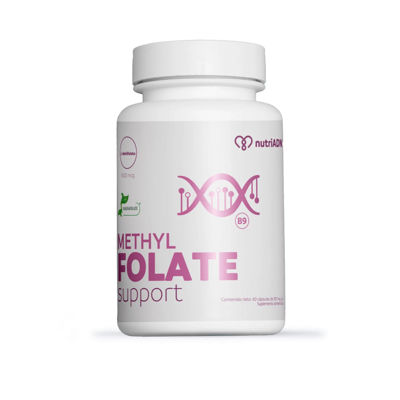 METHYL FOLATE SUPPORT