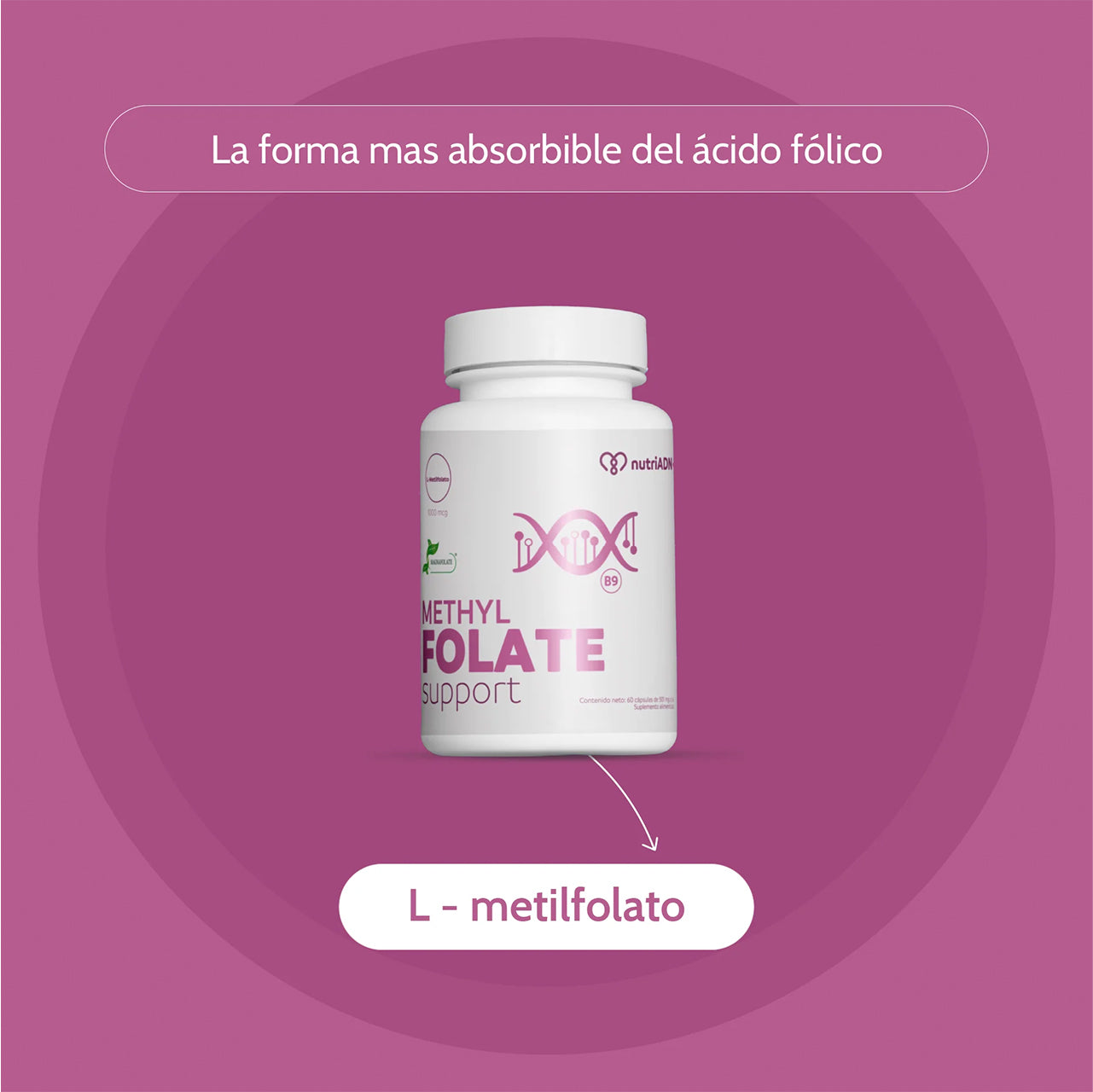 METHYL FOLATE SUPPORT