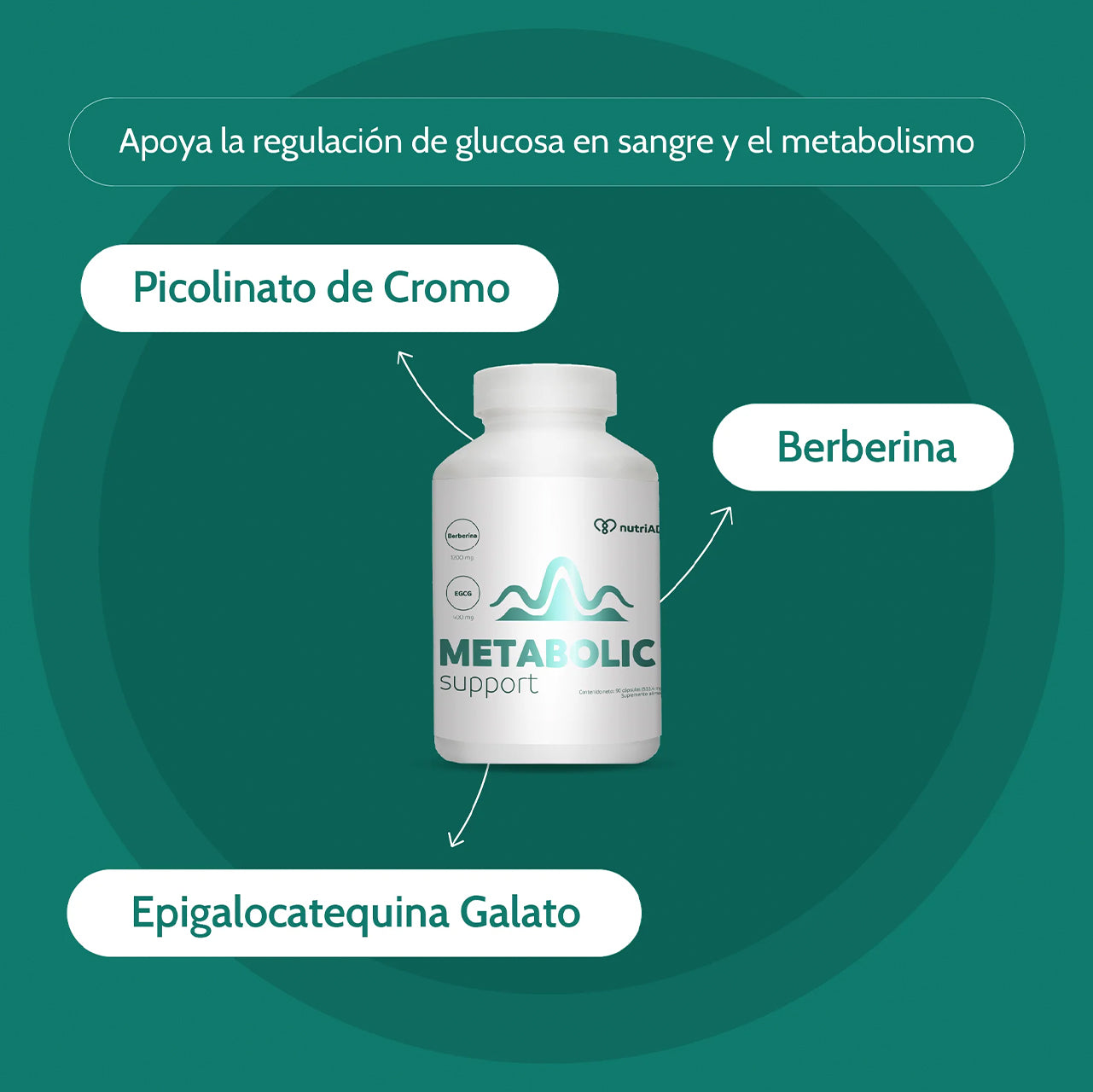 METABOLIC SUPPORT