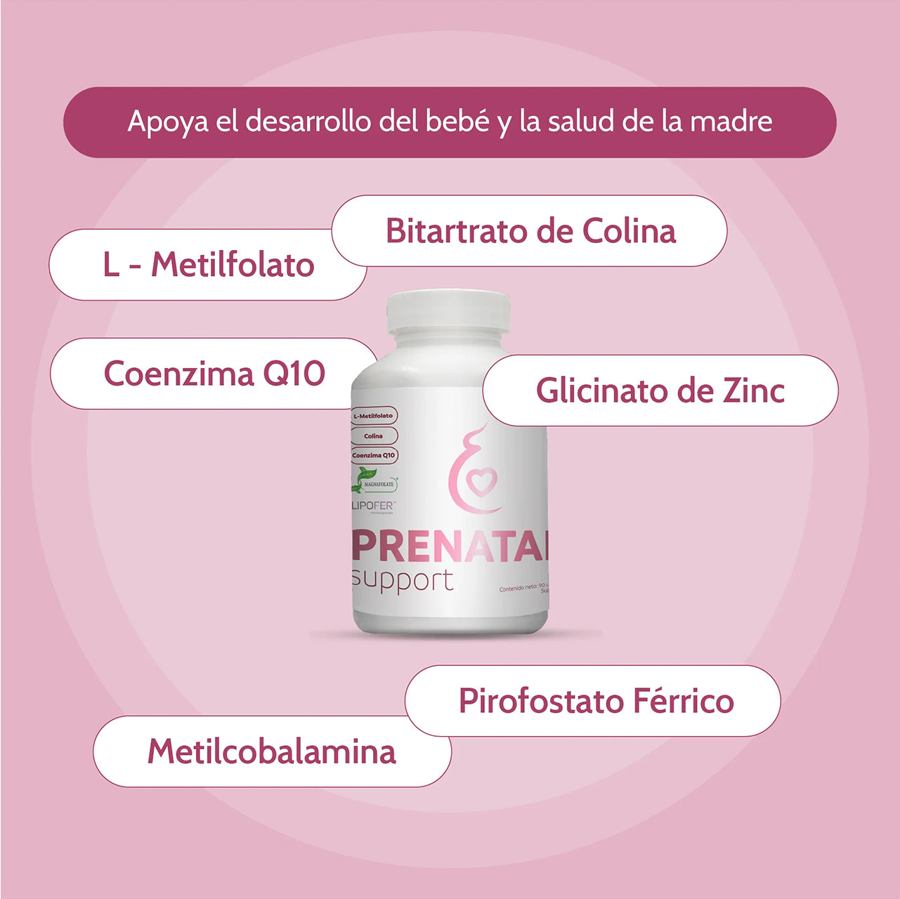 PRENATAL SUPPORT