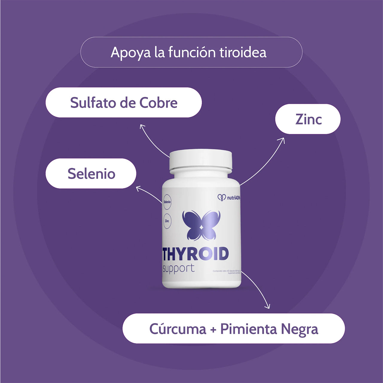 THYROID SUPPORT