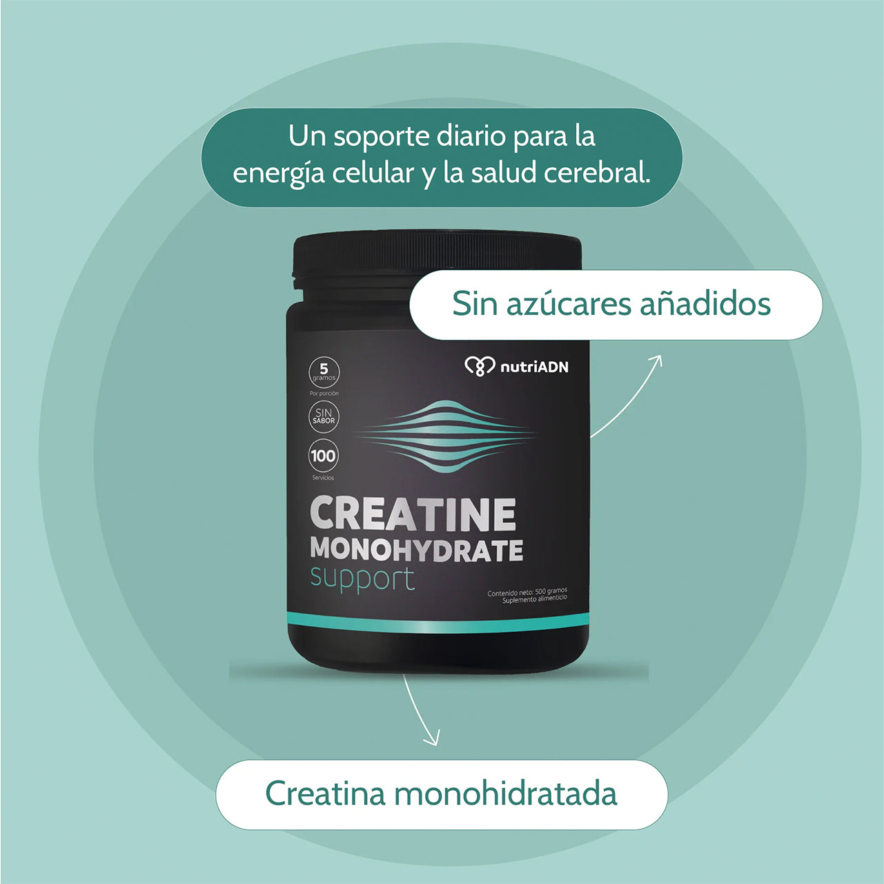 CREATINE MONOHYDRATE SUPPORT