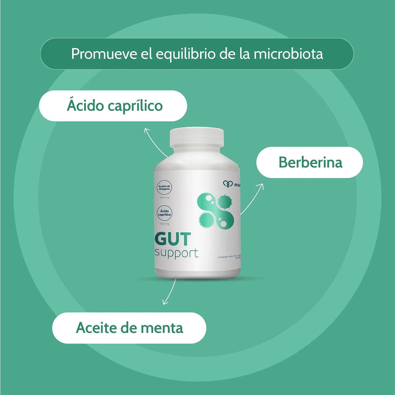 GUT SUPPORT